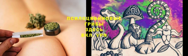 МДПВ Арсеньев