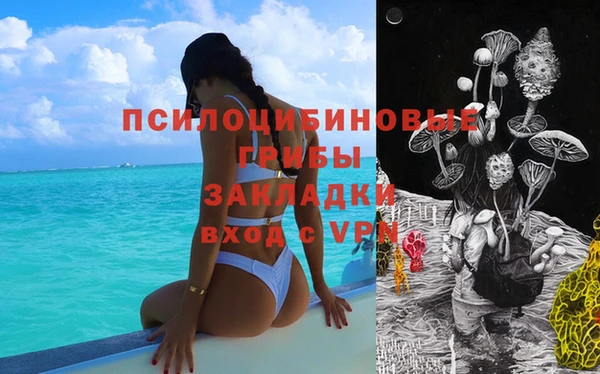 мяу мяу мука Заводоуковск