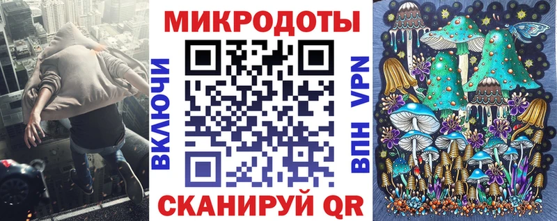 где можно купить   Валдай  Галлюциногенные грибы Psilocybe 